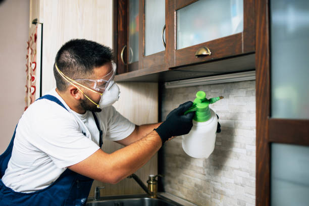 Best Affordable Pest Control Services  in Welsh, LA