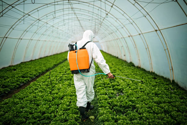 Best Pest Control for Businesses  in Welsh, LA