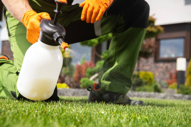 Reliable Welsh, LA Pest Control Solutions