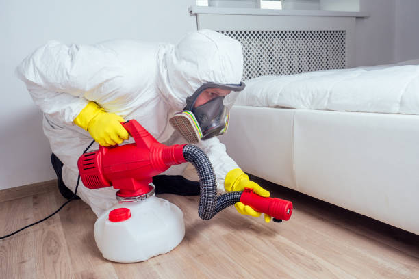Best Ant Control Services  in Welsh, LA