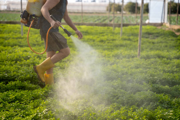 Best Wildlife Control Services  in Welsh, LA