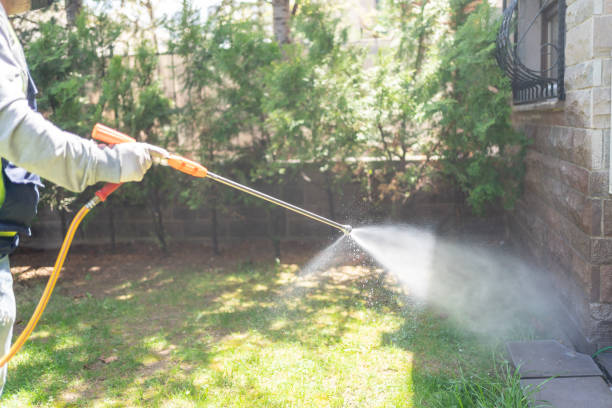 Best Spider Control Near Me  in Welsh, LA