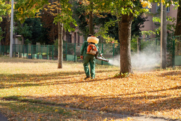 Trusted Welsh, LA Pest Control Experts