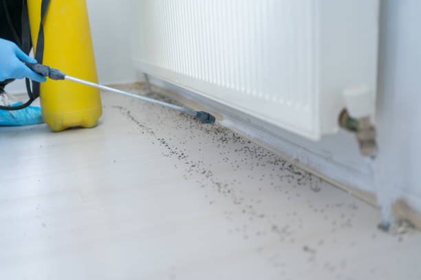 Best Exterminator Services  in Welsh, LA